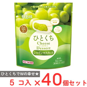 [①] Zbo^[QBB ЂƂ`[YfU[g }XJbg 5 40g×40