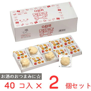 [①] Zbo^[ ^ `[Y 15g×40×2 QBB Ɩp q  tB  蕨 JVE wZ H ٓ