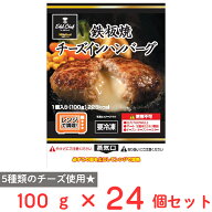 【訳あり50%OFF】 [冷凍] 日東ベスト EC鉄板焼チーズインハンバーグ 100g×24個 【賞味期限2027年1月15日】