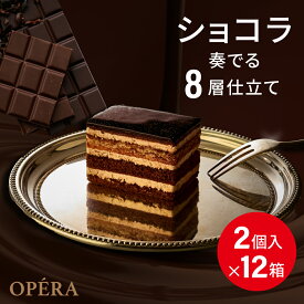 [冷凍食品] Delcy オペラ 2個入（100g）×12個 8層 チョコレート チョコケーキ 冷凍 お取り寄せ スイーツ デルシー ガトー ショコラ 洋菓子
