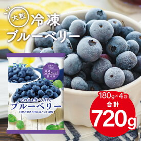 [冷凍] Delcy ブルーベリー 720g (180g×4個) 冷凍 果物 フローズン フルーツ 手作り スムージー 製菓 製菓材料 冷凍フルーツ 大容量 まとめ買い おすすめ