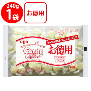 [�①]QBB ���p�L�����f�B�[�`�[�Y240g