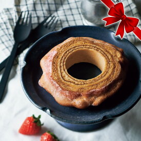 ホシフルーツ ホシフルーツ ハードバウム 1箱 プレゼント 贈り物 ギフト スイーツギフト お歳暮