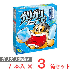赤城乳業 ガリガリ君 ソーダ