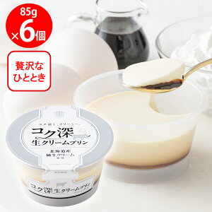 [①] g[N RN[N[v 85g×6