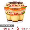 [冷蔵]江崎グリコ Bigプッチンプリン 160g×6個