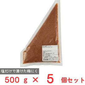 中田食品 紀州梅にく白 500g×5個