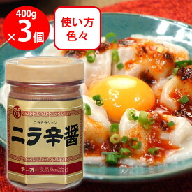 テーオー食品 ニラ辛醤 400g×3個