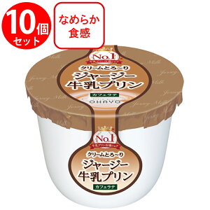 [①]In[ W[W[v JtFe 115g×10