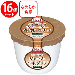 [①]In[ W[W[v JtFe 115g×16