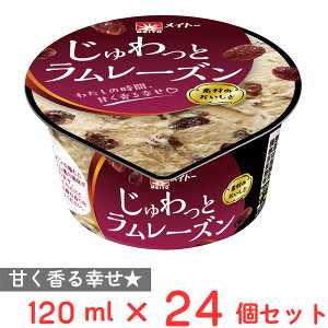 [ACX]  ƃ[Y 120ml×24