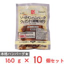 [冷凍] 日東ベスト JGソースインハンバーグヴィアンド（和風）160 160g×10個