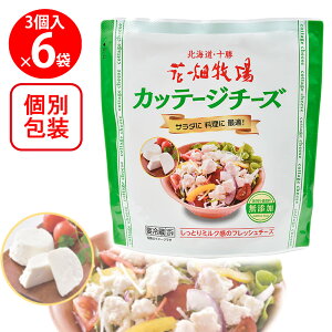 [①] Ԕq Jbe[W`[Y ~j^Cv3 90g×6