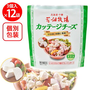 [①] Ԕq Jbe[W`[Y ~j^Cv3 90g×12