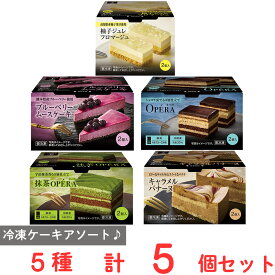 冷凍 ケーキ 美味しい スイーツ 詰め合わせ 5種類 オペラ ガトーショコラ ブルーベリー ムース ゆず レアチーズ ティラミス プチ ミックス 個包装 小分け チョコ チョコレート レアチーズケーキ ムースケーキ ギフト 誕生日 取り寄せ 洋菓子 冷凍食品 Delcy デルシー