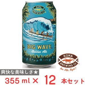 �󂠂�20��OFF �R�i�r�[�� �r�b�O�E�F�[�u �S�[���f���G�[��355ml��×12�� BIG WAVE �r�[�� �M�t�g �A�C�����h �n���C ���y�Y �� 350ml 12�{ �䒆�� ���Ε�y�ܖ�����2026�N09��11���z