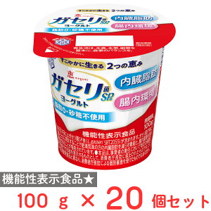 [①] 󃁃O~N b megumi KZSP [Og 100g×20