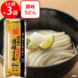 石丸製? 技の極み 讃岐うどん包丁切り 300g×3個