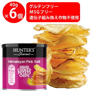 n^[ |eg`bvX q}\g 40g×6 n^[t[Y  |e` HUNTER'S e p ܂  Έ