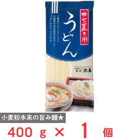 池島フーズ ゆで置き用 うどん 400g
