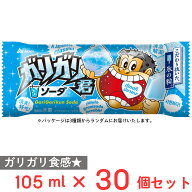 [アイス] 赤城乳業 ガリガリ君ソーダ 105ml×30個