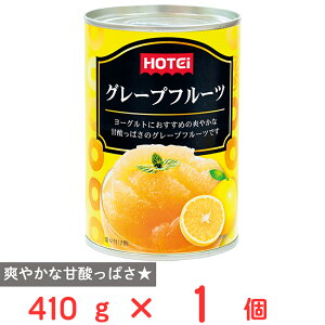 zeCt[YR[|[V O[vt[c GXeBjY 410g