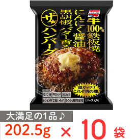 [冷凍] 味の素 ザ★ハンバーグ 202.5g×10袋