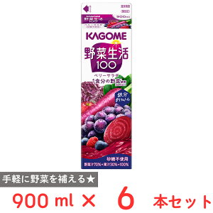 [①] JS ؐ100 x[T_ z[pbN 900ml×6{