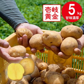 JA壱岐市 壱岐黄金 5kg 予約販売 7/15〜22お届け じゃがいも インカのめざめ ながさき黄金