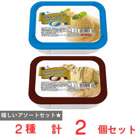 [アイス] フタバ食品 業務用 大容量 バニラ×チョコマーブル 各1個 北海道産の乳製品使用