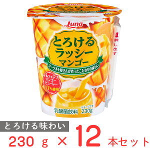 [①] {i Ƃ낯郉bV[ }S[ 230g×12{