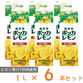 ポッカ 業務用ポッカレモン 1L×6個 レモン 果汁 100％ 保存料 無添加 紙パック 1リットル 業務用