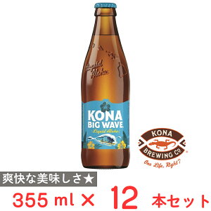 コナビール ビッグウェーブ」の人気商品一覧・価格比較 - 価格.com