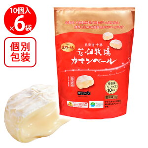 [①] Ԕq J}x[ ~j^Cv v[ 10 230g×6