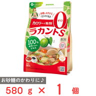 訳あり20％OFF サラヤ ラカントS顆粒 580g【賞味期限2027年10月14日】