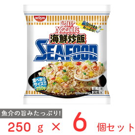 冷凍食品 日清 日清カップヌードル 海鮮炒飯 シーフード 250g×6個