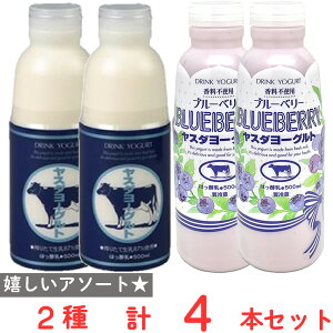 [①] X_[Og ̂ރ[Og 500ml 2Zbg e2{