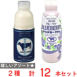 [①] X_[Og ̂ރ[Og 500ml 2Zbg e6{