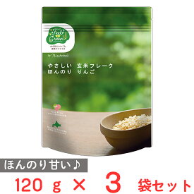 日食 Feel&Green やさしい玄米フレーク ほんのりりんご 120g×3袋