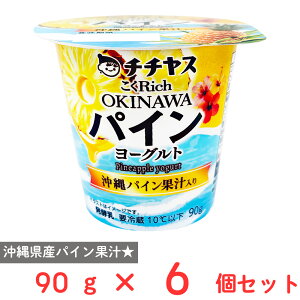[�①] �`�`���X ����Rich OKINAWA�p�C�����[�O���g 90g×6��