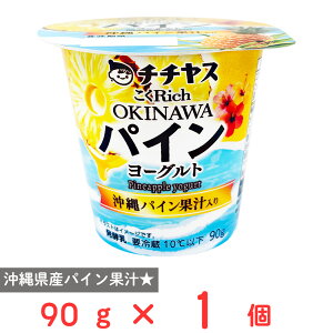 [�①] �`�`���X ����Rich OKINAWA�p�C�����[�O���g 90g