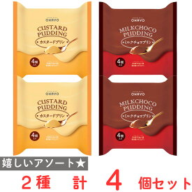 [冷蔵] オハヨー プリン 2種セット（各2個）（カスタード・ミルクチョコ）