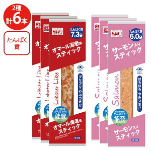 [①] XM V[t[hXeBbN 2S6{ZbgiI}[CVET[j