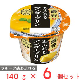 [冷蔵] 雪印メグミルク アジア茶房 マンゴープリン LL 140g×6個