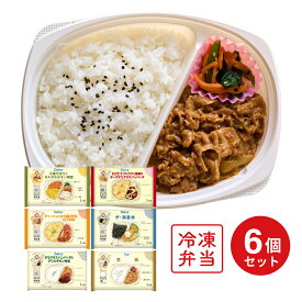 [冷凍] Delcy お惣菜屋さんが作った 惣菜お弁当 6種類 セット ( チキン南蛮 生姜焼弁当 ハンバーグ チーズハンバーグ 唐揚げ 海苔弁 )