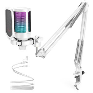 �R���f���T�[�}�C�N USB�ڑ� RGB���C�e�B���O �J�[�f�B�I�C�h�w���� �����^�b�`�~���[�g �^�� �Q�[������ ���C�u�z�M �e�����[�N Web��c PC Windows MacOS PS4 PS5�Ή�