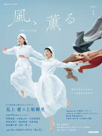 テレビ小説 ドラマガイドブック シナリオ集 脚本集 解説本 登場人物紹介 撮影裏話 インタビュー写真集 関連書籍