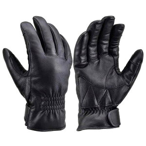 fCgi(Daytona) oCN O[u v(v) tďH~ { ɏv~A DKJbg V[Y