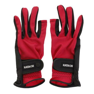 n^`(HATACHI) OEhSt Xgb` BH8080