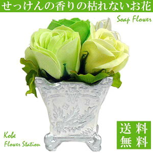 yz \[vt[ Ό̂ O[[YAW 3 ΂̃o t[\[v MtgpbP[W ʔ